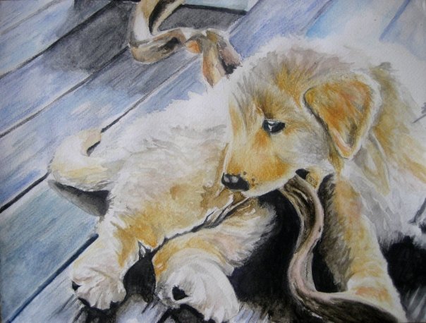 Puppy
